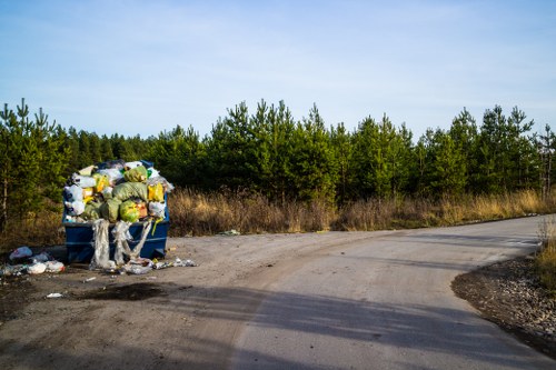 Eco-friendly waste management with recycling skips