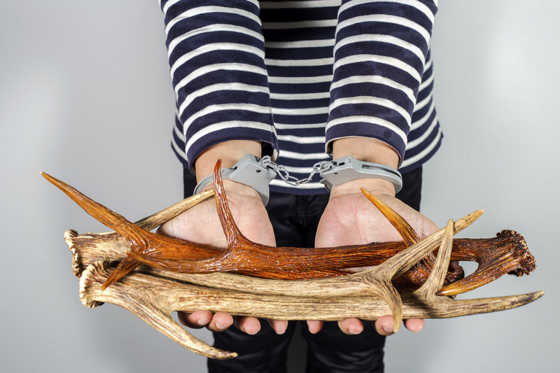 Beating High Bulky Waste Costs: What You Need to Know